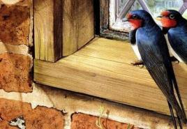 Если птица залетела в окно в дом или в квартиру, к чему это по народным приметам