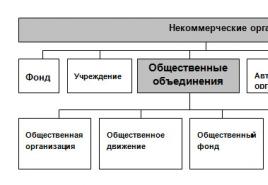 Общественные организации Что делают общественные организации