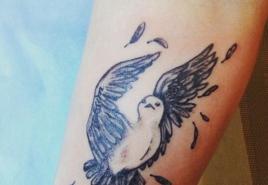 Что обозначает татуировка чайка