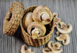 Dyrking av sopp - champignon i republikken Kasakhstan som en forretningsidé, anmeldelser